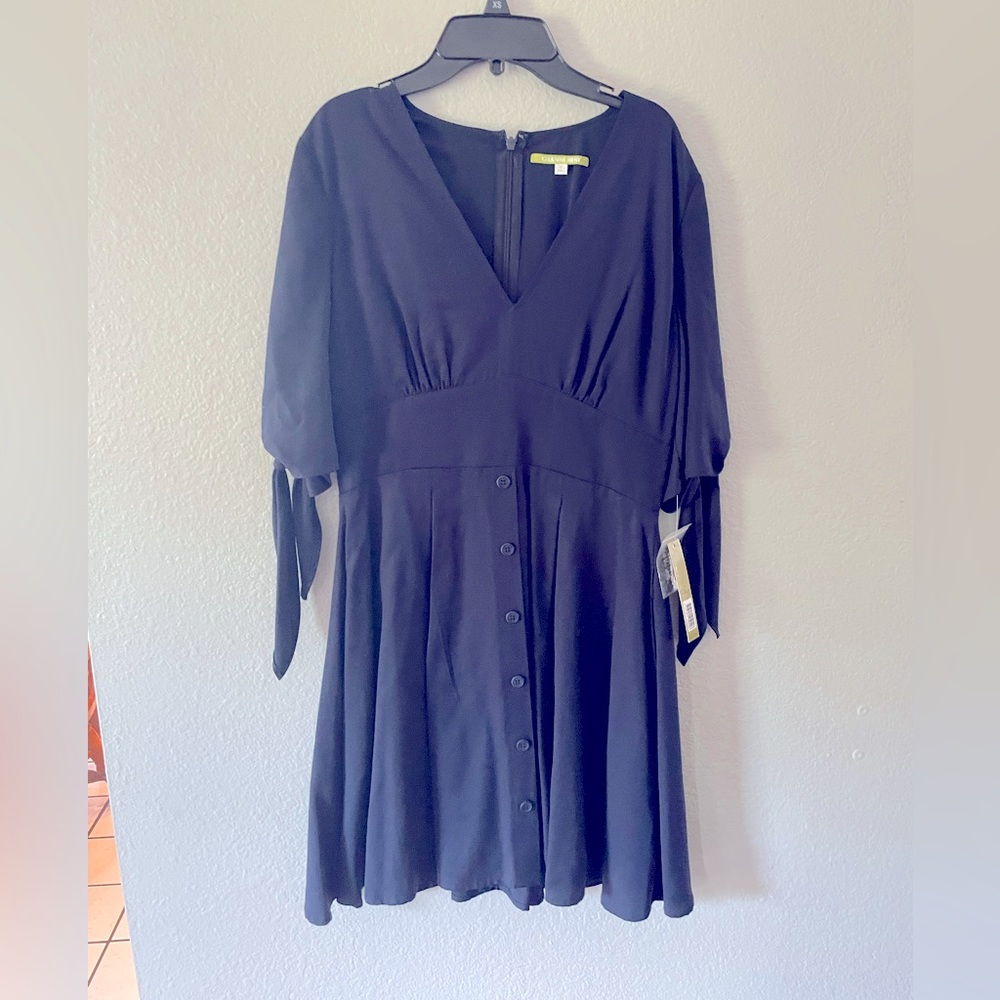 NWT Navy dress
